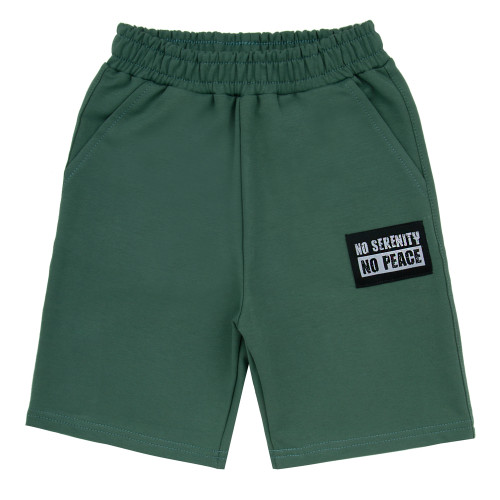 Шорты Бермуды №24