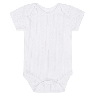 Боді №8 отп